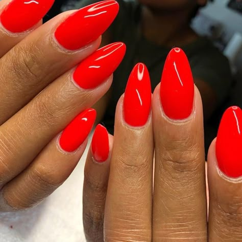 Sns Design, Red Orange Nails, Acrylic Extensions, Oval Acrylic Nails, 2022 Nails, Extension Nails, Red Gel Nails, Bright Red Nails, Opal Nails