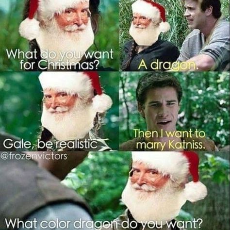 Lol poor gale Hunger Games Funny, Team Peeta, Hunger Games Jokes, Team Gale, Divergent Hunger Games, Hunger Games Memes, Hunger Games Quotes, Coriolanus Snow, I Volunteer As Tribute