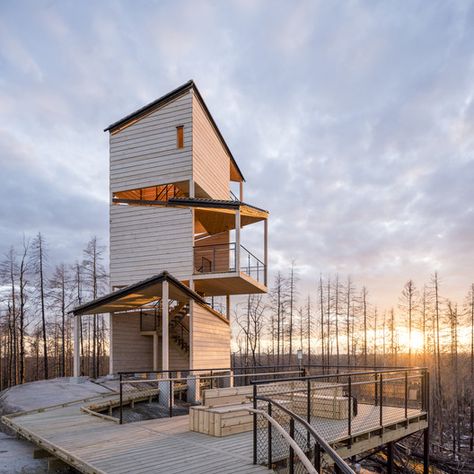 © Jason Strong Photography Artist Cabin, Shell Building, Visitor Center Architecture, Architectural Composition, Strong Photography, Treehouse Ideas, Swedish Architecture, Beer Spa, Treehouse Hotel