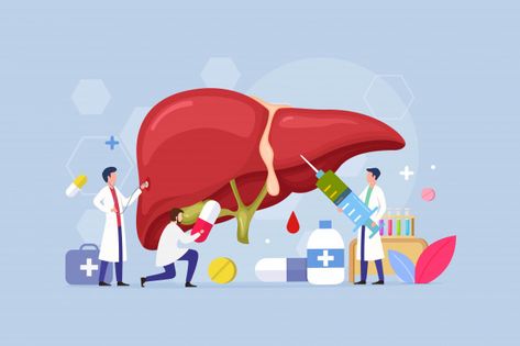 Internist Medical, Liver Illustration, Liver Function Test, People Design, Biology Art, Vector People, Medical Doctor, Medical Tourism, Healthy Liver