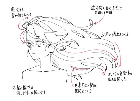 Hair References Drawing, Hair Drawing, Art Tools Drawing, 캐릭터 드로잉, Figure Drawing Reference, Anime Drawings Tutorials, Anatomy Art, Art Tutorials Drawing, Sketchbook Art Inspiration