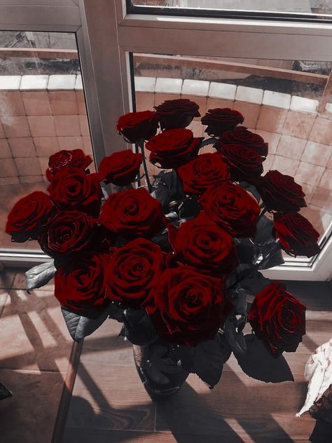 Maya Core Aesthetic, Maya Core, Dark Red Rose Aesthetic, Red Rose Flower Aesthetic Wallpaper, Dark Red Roses Bouquet Aesthetic, Red Roses Garden, Dark Red Roses Wallpaper Aesthetic, Deep Red Rose Aesthetic, Rosé Core