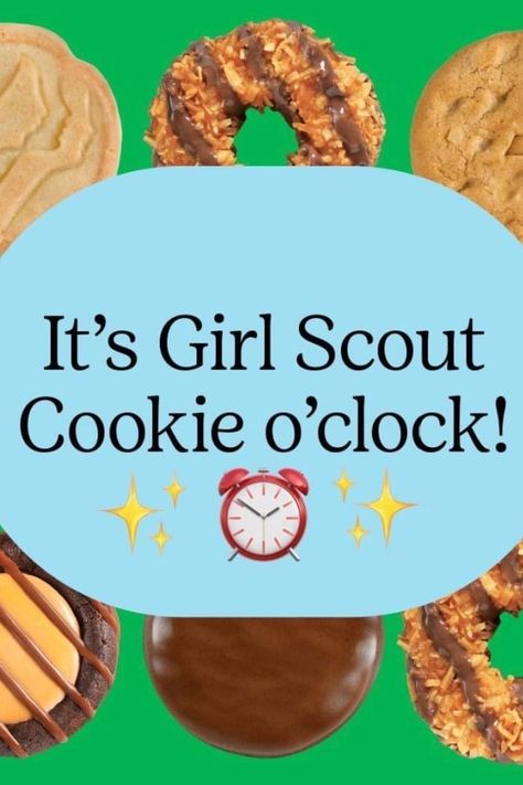 Holiday Sweet Treats, Cookies Website, Cinnamon Toast Crunch, Mint Cookies, Cinnamon Toast, Girl Scout Cookies, Seasoning Blend, Girl Scout, Sweet Treat