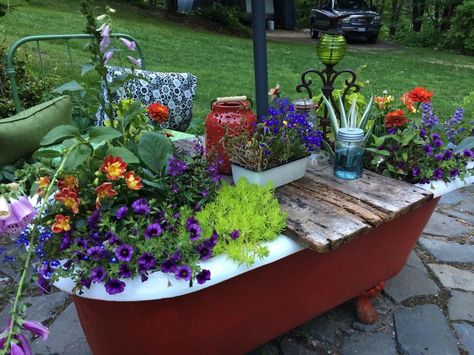 Old repurposed claw foot tub into planter Repurpose Clawfoot Tub Ideas, Old Tub Garden Ideas, Bath Tub Garden Ideas Old Bathtub, Clawfoot Tub Repurpose, Clawfoot Tub Planter, Old Tub Ideas Backyards, Bathtub Planter Ideas, Old Bathtub Ideas, Old Bathtub Ideas Garden