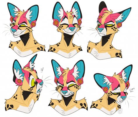 Expression Sheet, Arte Animal, Facial Expressions, Cat Drawing, Art Inspiration Drawing, Art Reference Photos, Character Design Inspiration, Animal Drawings, Face And Body