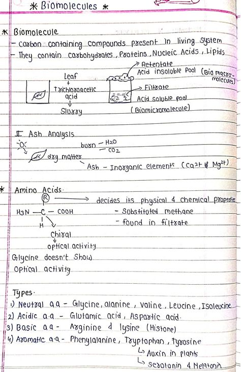 Biomolecules - Biology Short Notes 📚 Class 11 Biomolecules Notes, Biomolecules Class 11, Bio Notes Class 11, Biomolecules Notes Biology Class 11 Neet, Biomolecules Notes Biology Class 11, Biomolecules Notes Chemistry, Biomolecules Notes Biology, Biomolecules Notes, Study Notes Biology