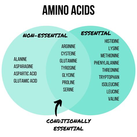 Amino Acids - Essential vs Non-Essential | Amino acids are the building blocks of protein, but why is protein so important anyway? This article covers benefits of protein, how much you need, and sources #chelseadishes #protein101 #aminoacids #nutritioninfographic #nutritionfacts Essential And Non Essential Amino Acids, Amino Acids For Muscle, Amino Acids Benefits, Chemistry Facts, Benefits Of Protein, Foods That Contain Protein, Biochemistry Notes, Protein Benefits, Benefits Of Mindfulness