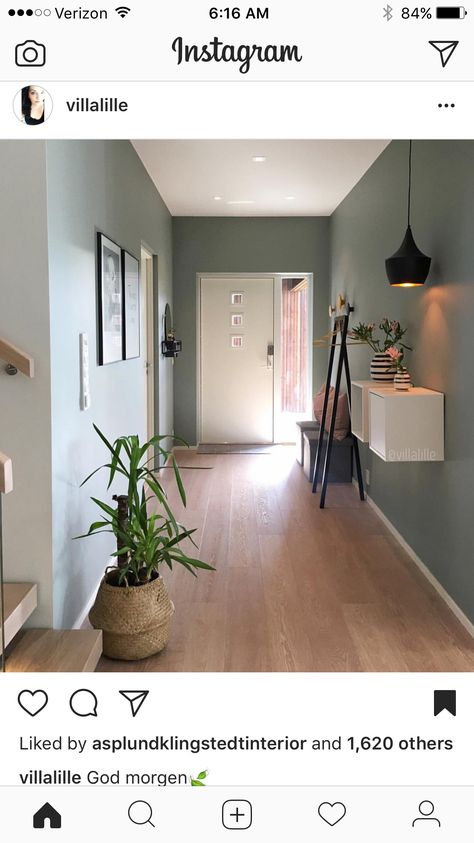 Sage Green Hallway, Hallway Colour Ideas, Hallway Wall Colors, Hallway Colour Schemes, Hall Ways Ideas, Hallway Paint Colors, Green Hallway Ideas, Entrance Hall Decor, Hallway Paint