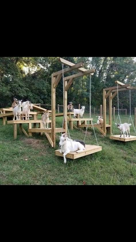 Goat Enclosure, Goat Yard, Goat Pen Ideas, Goat Shelters, Goat Hay Feeder, Goat Playground, Goat Ideas, Goats And Chickens, Goat Toys