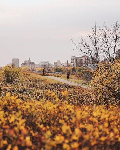 Saskatchewan Aesthetic, Canada Pictures, Canada Quebec, Explore Canada, Autumn Aesthetic, Places Around The World, Fall Season, Beautiful World, The South