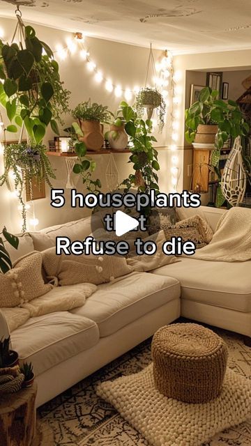 RootGrowings on Instagram: "5 Houseplants that refuse to die, ideal for those with a less-than-green thumb! 🌱🚫💧 From the resilient Cast Iron Plant (Aspidistra elatior) thriving in dark corners to the hardy Jade Plant (Crassula ovata), perfect for the forgetful waterer. #IndestructiblePlants #PetSafe #LowLightLovers #PlantLove" Jade Plant Decor Ideas, Indoor Garden Corner, Jade Plant Indoor, Indoor Plant Corner, Aspidistra Elatior, Adu Ideas, Indoor Garden Apartment, Redesign Ideas, Black Plant