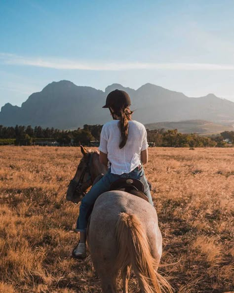 Horse Riding Aesthetic, Foto Cowgirl, Horse Care Tips, Last Ride, Horse Aesthetic, Brown Horse, Horse Life, Cute Horses, Trail Riding