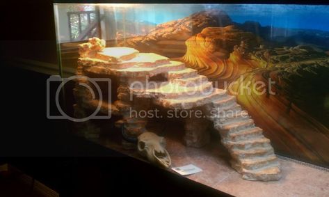 Bearded Dragon Basking Platform, Leopard Gecko Diy, Diy Bearded Dragon Enclosure, Folk Art Acrylic Paint, Diy Reptile, Bearded Dragon Diy, Bearded Dragon Terrarium, Bearded Dragon Enclosure, Reptile Decor