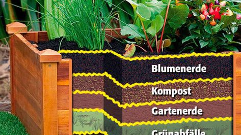 Hochbeet aus Paletten bauen: DIY-Anleitung mit Video Pergola Diy, Pallet Beds, Hydrangea Care, Video Garden, Diy Pergola, Bonsai Garden, Potting Soil, Instructional Video, Flower Lover