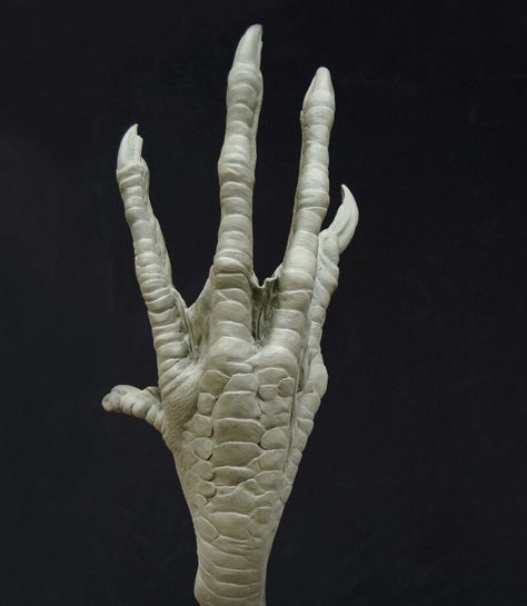 Creepy Hand, Zbrush Models, Monster Hands, Witch Hands, Dragon Claw, Cosmic Horror, Dark Shadows, Game Inspiration, Creature Concept