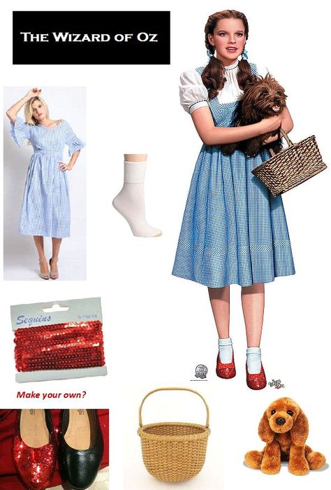 Dorothy from the Wizard of Oz is pictured here wearing a blue dress and red sparkly shoes.  Dorothy is carrying her faithful fluffy dog Toto in a basket too.  The original Dorothy wore pigtails with blue ribbons. Wizard Of Oz Stage Costumes, Literature Costumes, Dorothy Gale Costume, Dorothy And Scarecrow, Dorothy Wizard Of Oz Costume, Red Sparkly Shoes, Dorthy Costume, Scarecrow Costumes, Wizard Of Oz Dorothy Costume