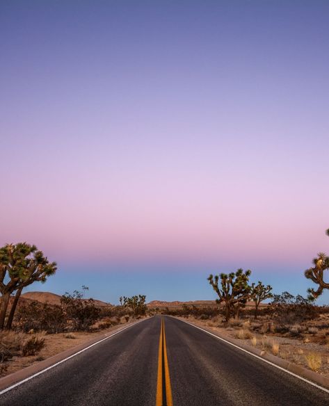 Driving through the desert along the road with a gorgeous California sunset. 📷: Chris Grant Palm Desert Aesthetic, California Desert Aesthetic, Desert Drive, Sunset Drive, Sunset Road, Desert Aesthetic, Desert Road, Ipad Aesthetic, American Summer