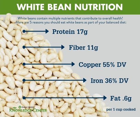 Cannellini Bean, Northern Beans, Great Northern Beans, Fat Foods, Low Fat Diets, Cannellini Beans, White Bean, Low Fat Recipes, Lower Cholesterol