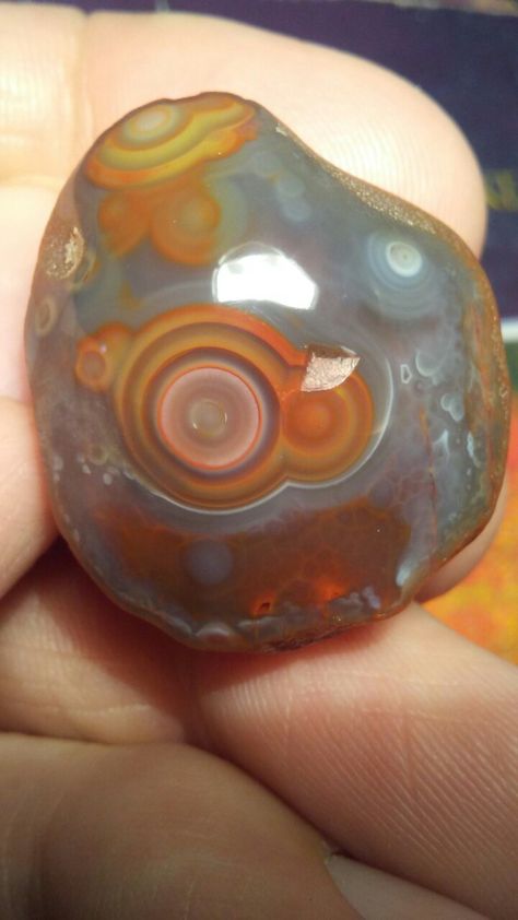 Lake Superior eye agate Minerals Crystals Stones, Eye Agate, Lake Superior Agates, Hag Stones, Rock And Pebbles, Pretty Rocks, Crystals Stones, Rock Collection, Rocks And Gems