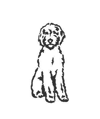 Excited to share the latest addition to my #etsy shop: Goldendoodle Embroidery design - Dog Machine Embroidery - Doodle Dog Embroidery-Instant Download - Embroidery File - Digital Embroidery File https://etsy.me/3jJO5Xc #housewarming #christmas #embroidery #golden #doo Machine Embroidery Designs Monogram, Machine Embroidery Designs Projects, Halloween Embroidery Designs, Beginner Sewing Patterns, Embroidery Template, Doodle Dog, Halloween Embroidery, Star Embroidery, Cute Embroidery