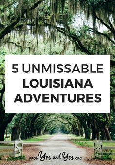 Things To Do In Louisiana, Louisiana Vacation, New Orleans Vacation, Louisiana History, Louisiana Travel, Shreveport Louisiana, Louisiana Usa, New Orleans Travel, Parc D'attraction