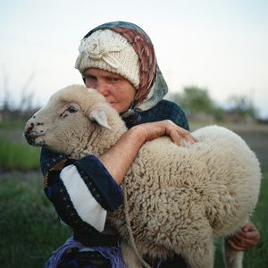 Ioana Cîrlig | LensCulture Romanian Women, Farm Photography, Figure Poses, Wild Nature, Contemporary Photography, Type 3, Animal Photography, Drawing Reference, Fur Babies