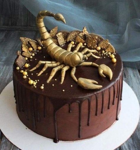 Scorpion Cake Birthdays, Scorpion Cake, Bday Cake, Ticks, Birthday Greetings, Scorpion, Birthday Cake, Collage, Cake