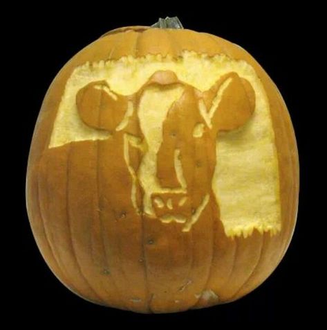 Cow Pumpkin Carving, Country Pumpkin Carving, Cow Pumpkin, Pumpkin Cravings, My Squad, Amazing Pumpkin Carving, Pumpkin Carvings, Carved Pumpkin, Pumpkin Carvings Stencils