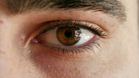 Honey Eyes Men, Light Brown Eyes Men, Brown Eyes Aesthetic Boy, Dark Brown Eyes Men, Brown Eyes Men, Brown Eyes Quotes, Brown Eyes Boy, Aesthetic Brown Eyes, Blue Eye Facts