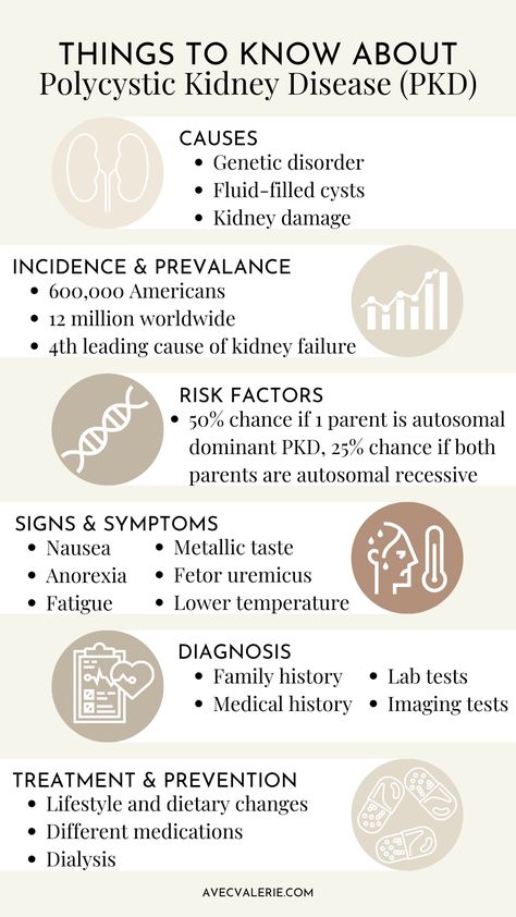 📆 September 3rd is #PKDAwarenessDay! 🧬 PKD stands for polycystic kidney disease. It effects roughly 600,000 Americans per year, including my family. 👓 Learn more: https://avecvalerie.com/september-3rd-pkd-awareness-day Pkd Awareness, Polycystic Kidneys, Genetic Disorders, Doctor Appointment, Urinary Tract, Medical History, Public Health, Daily Workout, My Family