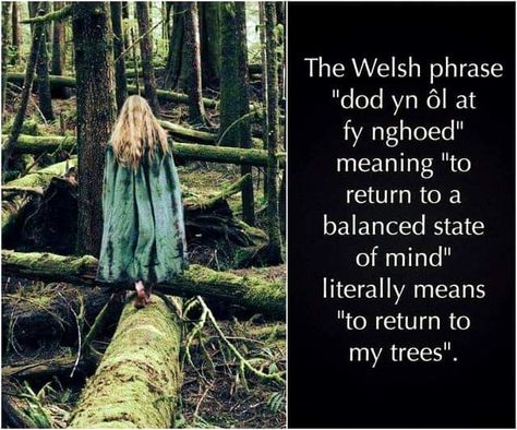 Welsh Phrases, Welsh Words, Wonderful Words, A Quote, In The Woods, Great Quotes, Beautiful Words, Cool Words, Words Quotes