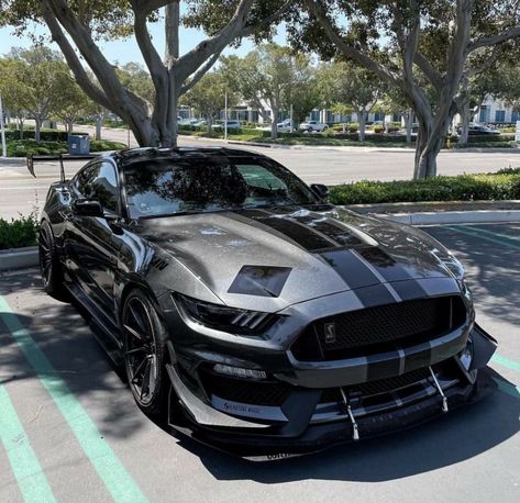 Ford Mustang Modified, Mustang Cobra Shelby Gt500, Mustang Modified, Cobra Mustang, Mustang Gt 350, Kereta Sport, Mustang Shelby Cobra, Mobil Mustang, Gt 350