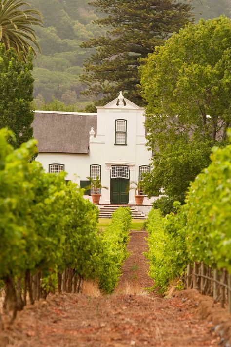 Explore Constantia, the oldest wine region in South Africa and taste world-class wines on a private tour. Constantia Cape Town, South Africa Wine, Cape Town South Africa, Wine Region, Back In Time, Cape Town, Wine Tasting, South Africa, Cape