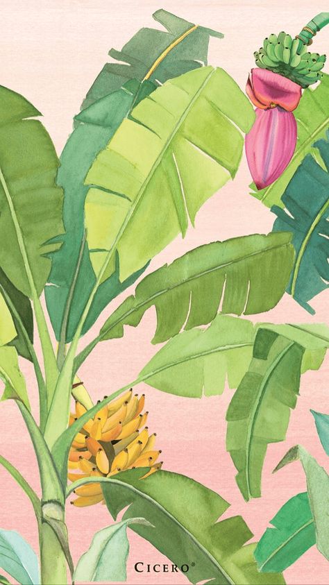 Banana Tree Wallpaper: Bring Tropical Vibes to Your Space Banana Tree Painting, Banana Tree Wallpaper, Banana Trees, Colombian Art, Best Wallpaper Hd, Tropical Painting, Peony Wallpaper, Banana Tree, Best Wallpaper