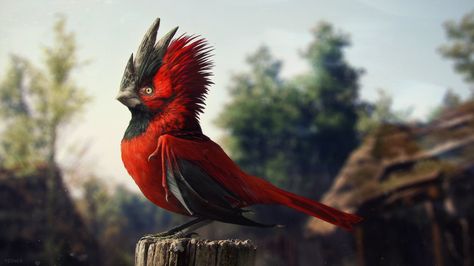 cdp red bird by vesner.deviantart.com on @DeviantArt Cd Project Red, Exotic Bird, Red Bird, Creature Concept Art, My Favorite Image, Red Birds, Bird Photo, Creature Concept, The Witcher