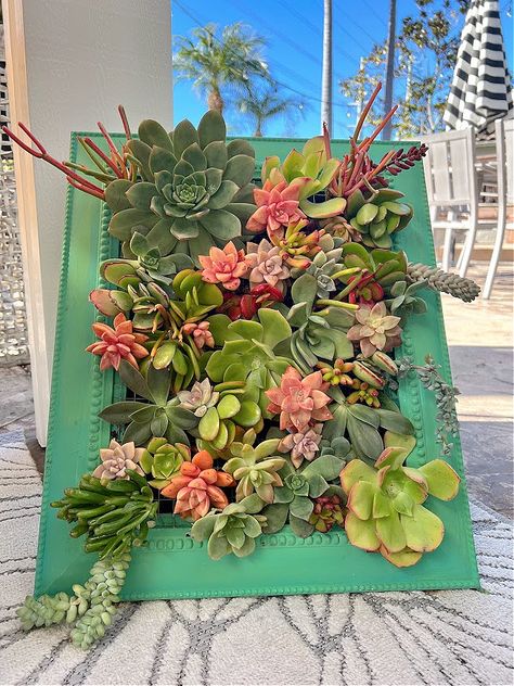 Succulent Wall Garden Diy, Diy Wall Planter Indoor Vertical Succulent Gardens, Succulent Arrangements Outdoor Wall, Diy Succulent Wall Art, Framed Succulent Wall Decor, Picture Frame Plant Wall, Succulent Wall Arrangements, Diy Wall Planter Outdoor, Succulent Picture Frame