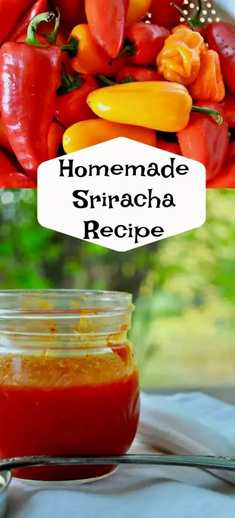 Sriracha Sauce Homemade, Homemade Sriracha Sauce Recipe, Sriracha Recipe, Make Hot Sauce, Sriracha Sauce Recipe, Homemade Sriracha, Siracha Sauce, Sriracha Recipes, Homemade Ingredients