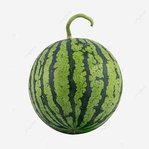 Watermelon Vector, Watermelon Cartoon, Watermelon Illustration, Summer Juice, Fruit Png, Happy Fruit, Fruit Watermelon, Insta Account, Fruit Fresh