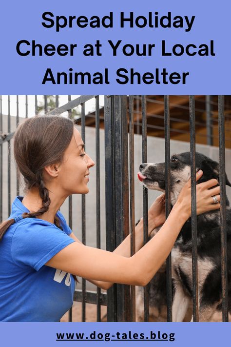 Want to bring joy to animals and help your local shelter this holiday season? Discover Animal Shelter Volunteer ideas that are fun, fulfilling, and impactful for both you and the pets. 🐕 Save this pin for ways to make your holiday season brighter by giving back! 🎄✨ Animal Shelter Volunteer, Dog Emotions, Volunteer Ideas, Pet Shelter, Living With Dogs, Dog Biscuits Homemade, Shelter Dog, Dog Activities, New Space