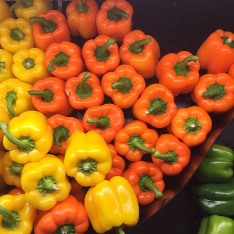 Bell Pepper Photography, March Vibes, Pepper Photography, Orange Bell Pepper, Orange Skin, Photography Aesthetic, Nutritional Value, Bell Peppers, Bell Pepper