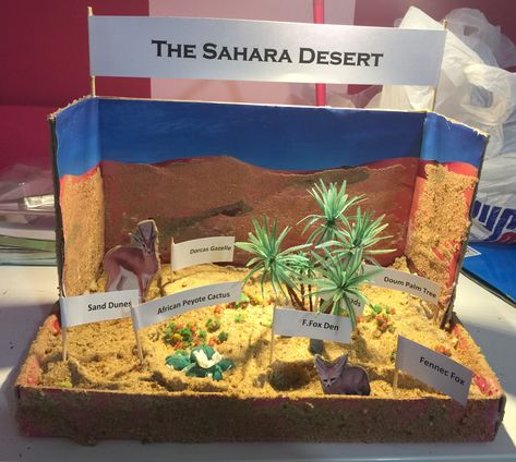 Sahara Desert Diorama Dessert Biome Project, Desert Biome Shoebox Project, Sahara Desert Diorama, Desert Diorama Ideas, Rattlesnake Diorama, Desert Diorama Ideas For Kids, Desert Biome Project Ideas, Desert Ecosystem Project, Diarama Ideas Kids