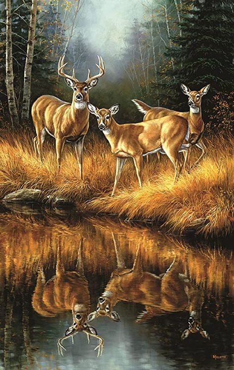 Deer Artwork, Deer Photos, Deer Pictures, Hunting Art, Deer Painting, Charcoal Drawings, Deer Art, Mule Deer, Wildlife Paintings