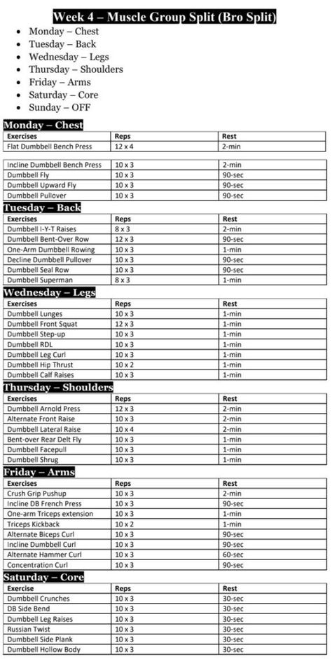 Full Dumbbell Workout, Calisthenics Weekly Workout Plan, Full Body 5 Day Workout, Public Gym Workout, Workout Week Plan Gym, Dumbell Workout Program, 12 Weeks Workout Plan, Dumbbell And Barbell Workout Plan, Dumbell Workout Week Plan