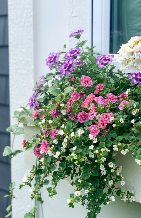 White Pink and Purple Flower Boxes - The Lilypad Cottage Lilypad Cottage, Porch Flowers, Window Box Flowers, Balcony Flowers, Container Gardening Flowers, Flower Window, Pink And Purple Flowers, Planter Ideas, Garden Containers