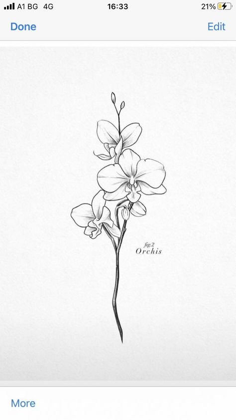 Orkid Flower Tattoo Design, Orchid Behind Ear Tattoo, Orchid Tattoo Wrist, Orhidee Flowers Tattoo, Orchid Tattoo Behind Ear, Orchid Branch Tattoo, Orchid Outline Tattoo, White Nun Orchid Tattoo, Orchid Spine Tattoo