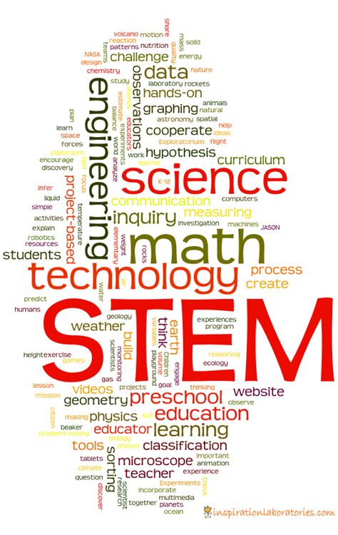 Light Microscope, Science Technology Engineering Math, Stem Curriculum, Stem Classes, Stem Resources, Teaching Stem, Stem Lab, Stem Design, Math 5