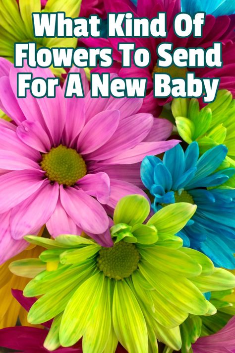 How to Send a New Baby Congratulation Flowers - Preemie Twins Baby Blog Preemie Twins, First Month Of Pregnancy, Congratulations Flowers, Baby Bouquet, Newborn Flower, Giving Flowers, Best Flowers, Twins Baby, Pregnancy Months