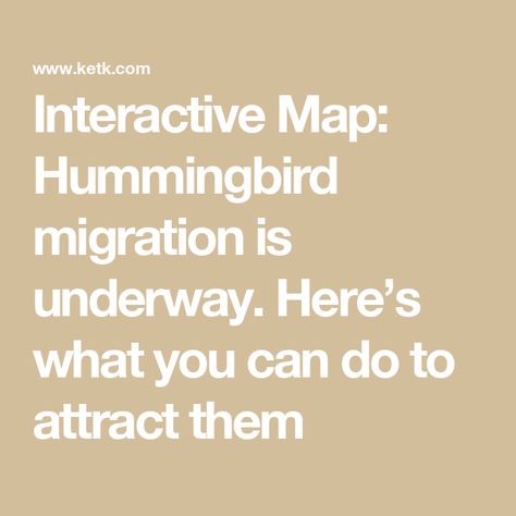 Interactive Map: Hummingbird migration is underway. Here’s what you can do to attract them Hummingbird Migration, Hummingbird Food, Star Clusters, Best Credit Cards, How To Attract Hummingbirds, Can You Help, Spring Sign, Food Source, Interactive Map