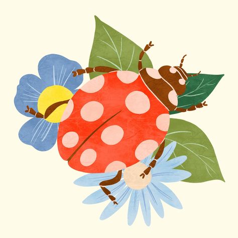 Ladybugs Aesthetic, Ladybird Illustration, Ladybird Drawing, Insects Illustration, Ladybug Illustration, Ladybug Drawing, Cartoon Ladybug, Insect Illustration, Ladybug Print