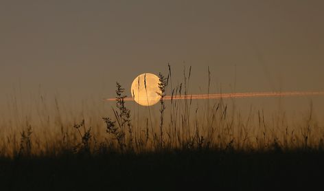 Moon Landscape Aesthetic, Moon Landscape Photography, Dusk Aesthetic, Photo Of Moon, Landscape Night, Moon Landscape, Moon Photos, The Moon Is Beautiful, Look At The Moon